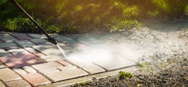 Best Animal Enclosure Cleaning  in Trophy Clu, TX